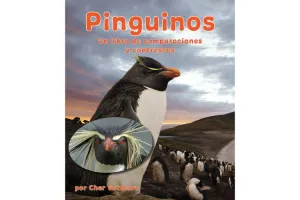 Pinguinos. Un libro de comparaciones y contrastes