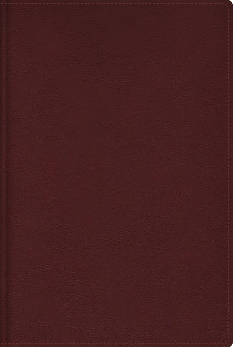 RVR, Biblia de estudio trasfondo cultural, Tapa dura, Interior a color, Comfort Print: Explora el mundo antiguo de la Escritura