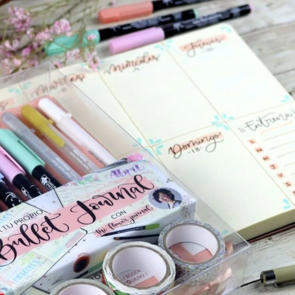Set Bullet Journal Rosa Talens