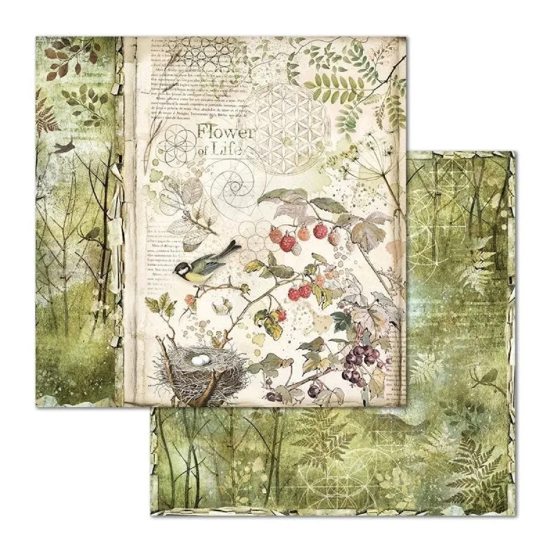 Set Papeles Scrap Forest 8x8 10 Hojas Stamperia