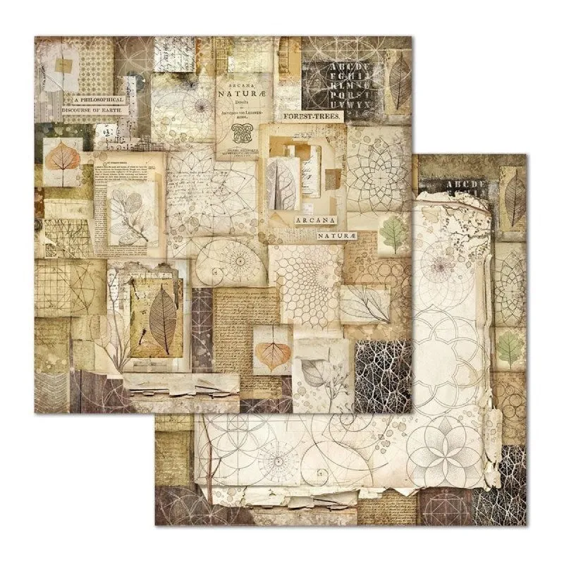 Set Papeles Scrap Forest 8x8 10 Hojas Stamperia