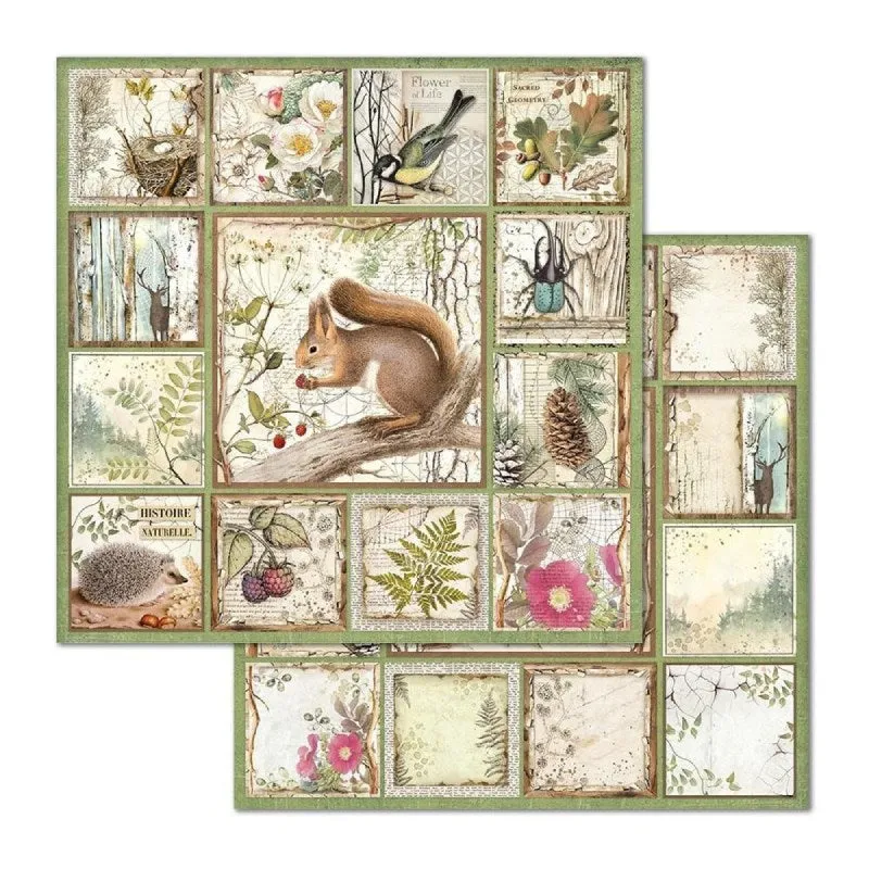 Set Papeles Scrap Forest 8x8 10 Hojas Stamperia