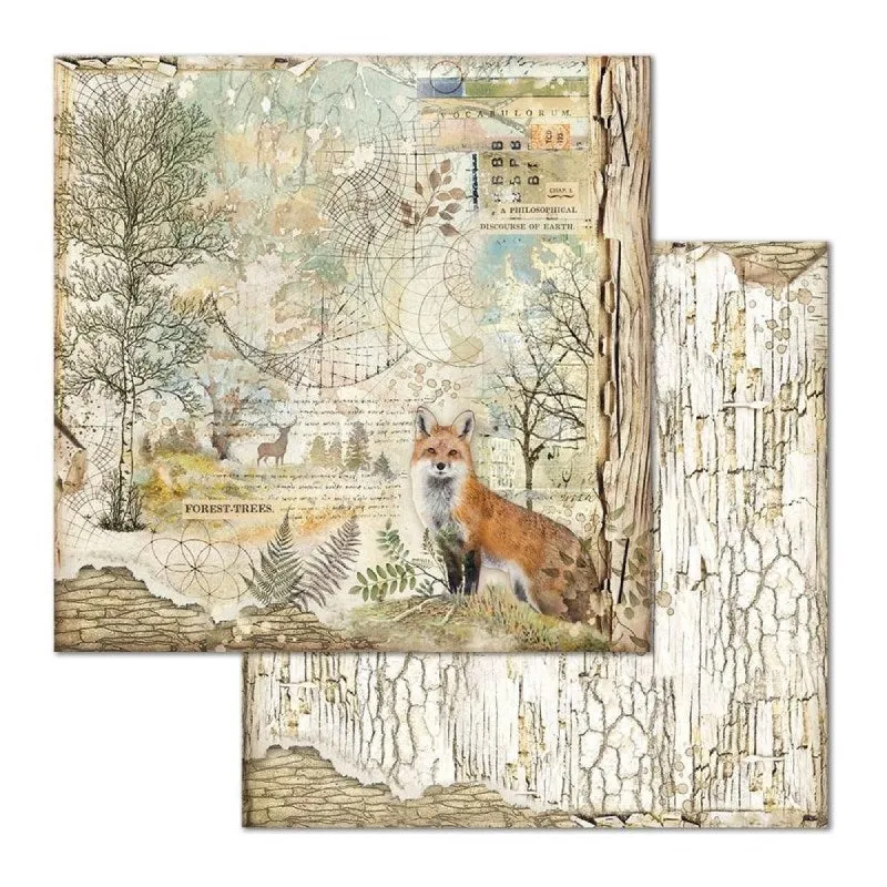 Set Papeles Scrap Forest 8x8 10 Hojas Stamperia
