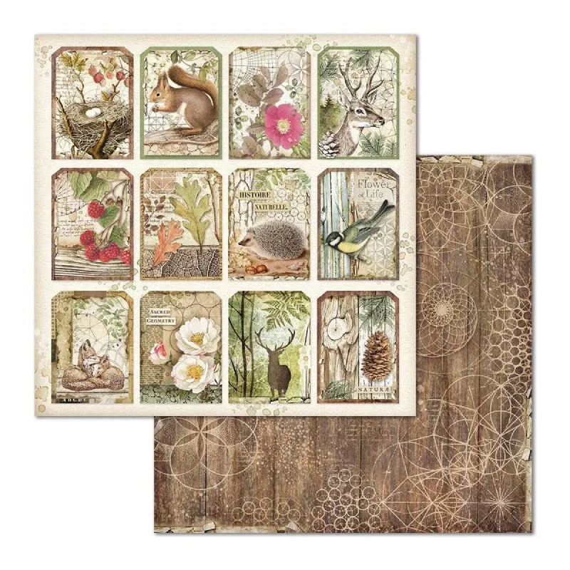 Set Papeles Scrap Forest 8x8 10 Hojas Stamperia