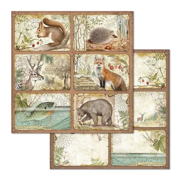 Set Papeles Scrap Forest 8x8 10 Hojas Stamperia
