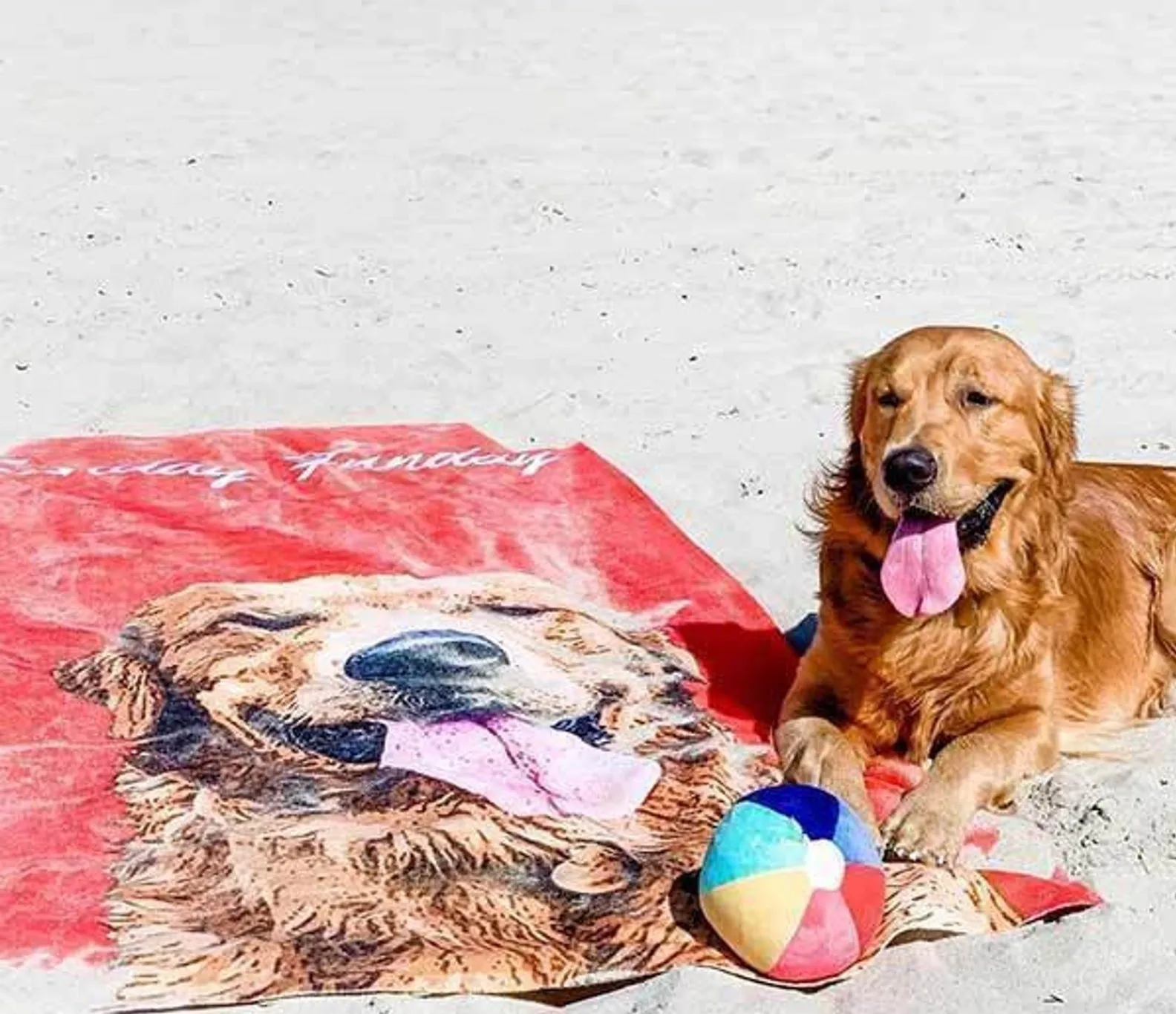 Toalla con Retrato de tu Mascota