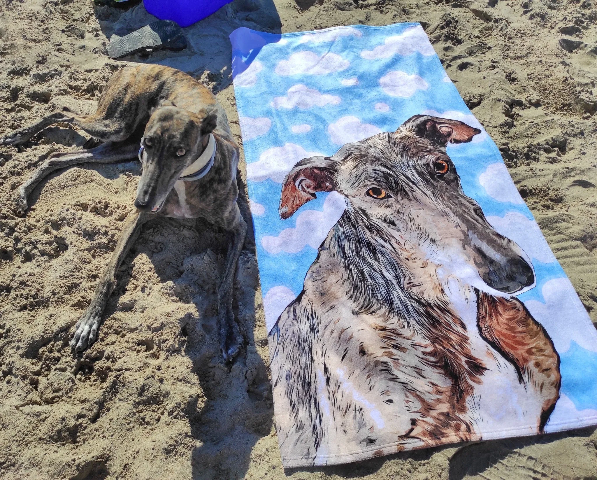 Toalla con Retrato de tu Mascota