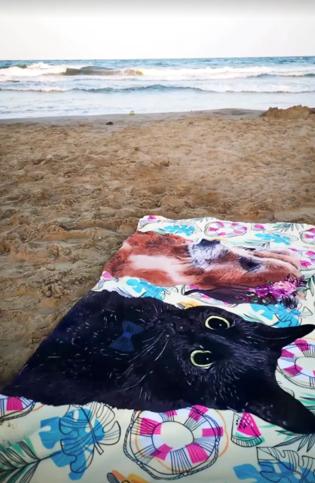 Toalla con Retrato de tu Mascota